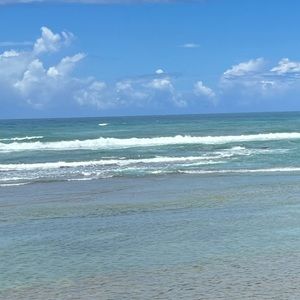 Meet your Posher, Ann-kathryn